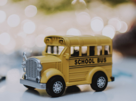 Requisição Transporte escolar 